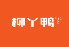 <strong>柳丫鸭品牌介绍</strong>